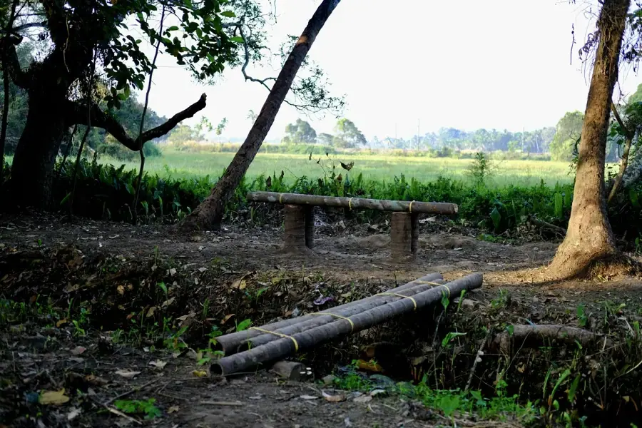 Thiruvankulam - Campus Walkway