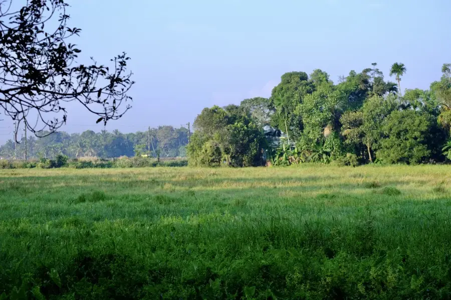 Thiruvankulam - Campus Walkway